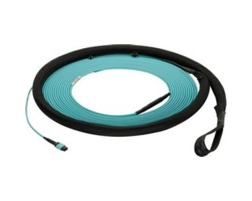 PANDUIT  FXTYP5E5EAAF055               OM3 12-fiber, small diameter, indoor trunk, plenum, MPO female To MPO female, Method A, Std. IL, pulling eye end A, 55ft.