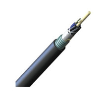 CORNING 012EUC-T4100D20        ALTOS Lite TM Loose Tube, Gel-Free, Single-Jacket, Single-Armored Cable, 12 fiber, Single-mode OS2 , max. attenuation 0.35 dB/km