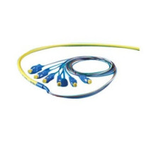 ORTRONICS  P1SC4ZRRZZZ001M               Single-mode Pigtail, 6-Fiber, 900 Um, SC-UPC, 1 Meter