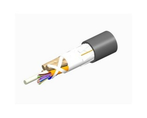 COMMSCOPE ENTERPRISE SOLUTIONS  760095034  P-096-LN-8W-F12BK/25D              Fiber Cable, Indoor/Outdoor, 96 Fiber, Single Jacket All-Dielectric, Plenum Rated, Gel-Free, Stranded Loose Tube Cable, PVDF Jacket, Teraspeed OS2 Single-mode