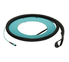 PANDUIT  FZUYP5E5EAAF122               OM4 24-fiber, small diameter, indoor, trunk, plenum, MPO female to MPO female, method A, Std IL, pulling eye end A, 122ft.