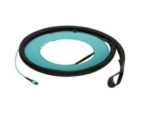 PANDUIT  FXUYP5E5EAAF246               OM3 24-fiber, small diameter, indoor trunk, plenum, MPO Female To MPO Female, Method A, Std IL, pulling eye end A, 246ft.