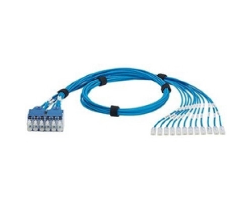 PANDUIT  QPPSDBBB14               QN PatchHarness Cat6 12PK BU 14ft EA