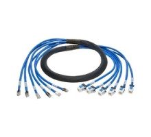 TRIPP LITE N261-010-6MF-BL        Augmented Cat6/Cat6a Pre-Terminated Copper Trunk Bundle, 6x RJ45 M/F , 10 ft.
