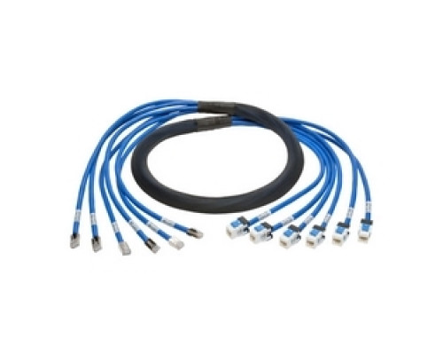 TRIPP LITE N261-010-6MF-BL        Augmented Cat6/Cat6a Pre-Terminated Copper Trunk Bundle, 6x RJ45 M/F , 10 ft.