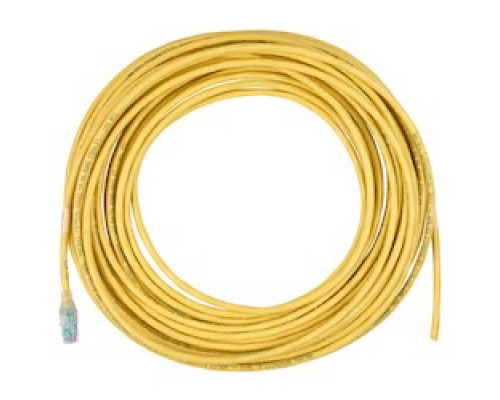 BELDEN C601208025        CAT6+ Pigtail, Bonded-Pair, 4 Pair, 24 AWG Solid, CMR, T568A-Open, Gray, 25 ft. 7.6 m .