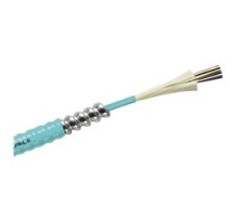 BERK-TEK  PDPK024EB3010/25-I/O-C4C5AQU               24-F 50/125 TB OFNP Armored 3.0/1.0 Db/Km 500/500 Mhz*Km Gigalite-10G