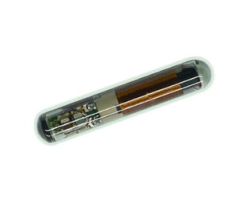 JMA USA  TPX4 CHIP               TPX4 CHIP           CLONEABLE CHIP