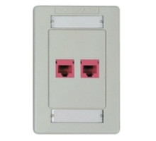 BELDEN  AX101432               Interface Plates 2 Port, Single Gang Flush