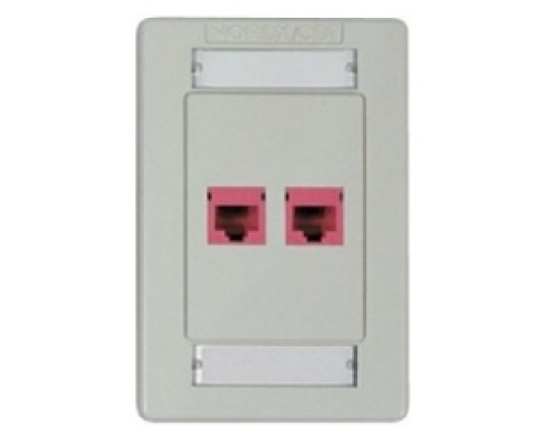 BELDEN  AX101432               Interface Plates 2 Port, Single Gang Flush