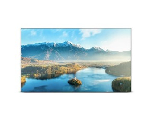 ORION IMAGES  R4N55RHF                 4K INPUT CAPABLE PREMIUM LED MONITOR, 1920X1080, 700CD/M2 RAZOR THIN NARROW