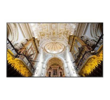 SAMSUNG ELECTRONICS CO LTD  QB98R  13657828                 LED Display, 98