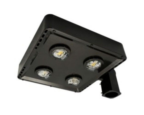 CREE INC  C-AR-A-SQT5-15L-50K-DB   LED Shoebox Area Light, 120-277V, 15000L, 5000K, 70CRI, Dark Bronze, Type V