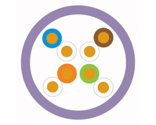 BERK-TEK  11072302                 23-4P UTP-CMR Solid BC FEP/FEPVC Lanmark-6 Min Compliant Cat6 Purple Box RoHS