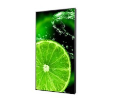 SHARP/NEC DISPLAY SOLUTIONS E868         86