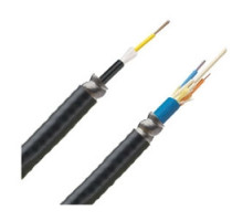 PANDUIT  FSGP612Y   12-Fiber OM1 MM PLEM Interlocking AL