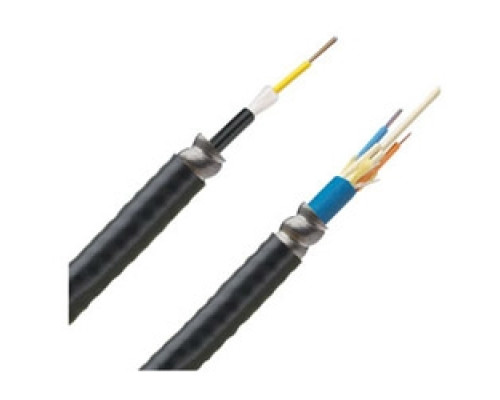 PANDUIT  FSGR906Y   6-Fiber OS2 SM Riser ARM I/O Cable