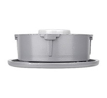 THOMAS & BETTS  VA-02   Ceiling Mount with Adapter Plate, Aluminum, 200 Watt Maximum, Sockets with Leads, Gasket and Screws Included