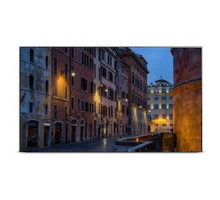 ORION IMAGES  R4N55RNF                 4K INPUT CAPABLE PREMIUM LED MONITOR, 1920X1080, 500CD/M2 RAZOR THIN NARROW