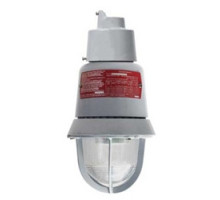 EDWARDS SIGNALING  116EXMLEDA-AQ  78264022120   116 Class Explosionproof LED Light with user selectable flash patterns, 24V AC/DC, amber