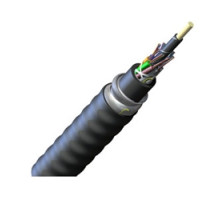 CORNING 024EUC-T4100A20  FREEDM Loose Tube, Gel-Free, Interlocking Armored Cable, Riser, 24 Fiber, Single-mode OS2