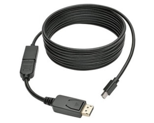 TRIPP LITE P136-000         DisplayPort to HDMI Converter Adapter, 1080p 1920 x 1200  M/F , 15.24 cm