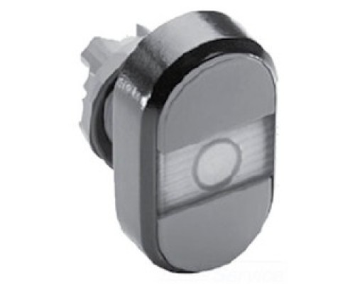 ABB  MPD1-11C   Modular Double Pushbutton - Momentary - Flush/Flush - Green/Red Actuator, Clear Indicator - Illuminated - No contact block - Lower Button: No text - Upper Button: No text