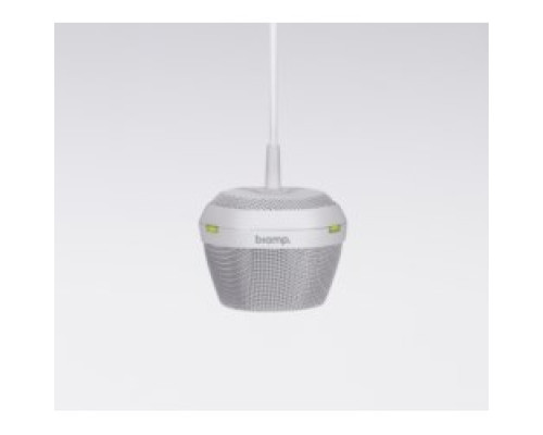 BIAMP SYSTEMS CORPORATION  0405.900  DEVIO DCM-1                 Ceiling Mounted, Beamforming Microphone