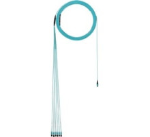 PANDUIT  FZTYP7EL2SAF260   OM4 12-Fibr InSMDia Trnk Cbl 260ft EA