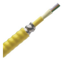 PANDUIT  FOPPZ24Y                 24 Fiber Cable OM4 Indoor Armored Plenum 900um