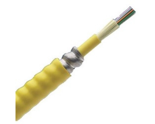 PANDUIT  FOPPZ24Y                 24 Fiber Cable OM4 Indoor Armored Plenum 900um