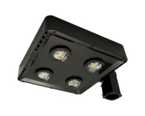 CREE INC  C-AR-A-SQT3-17L-50K-DB   LED Shoebox Area Light, 120-277V, 17000L, 5000K, 70CRI, Dark Bronze, Type III