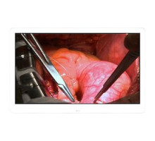 LG ELECTRONICS  27HJ713S-W  13473432                 Surgical Monitor, 27