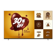 SHARP ELECTRONICS CORPORATION  4PB55EJ2U                 55