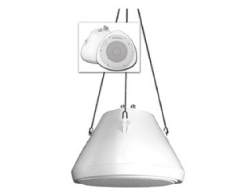 SPECO TECHNOLOGIES  SP30PT                 70/25 V/8 ohm Hanging Pendant Speaker