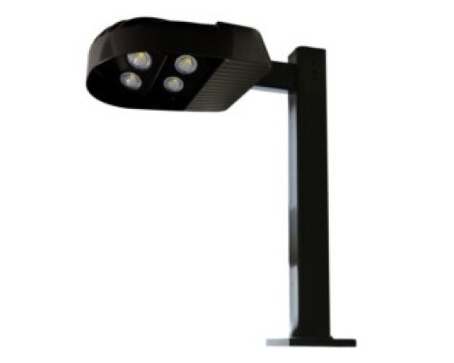 CREE INC  C-AR-A-4LD-23L-40K-DB   LED Area Light, 120-277V, 4LED, 23000L, 4000K, 70 CRI, Dark Bronze