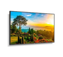 SHARP/NEC DISPLAY SOLUTIONS  M551                 55