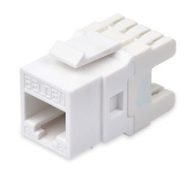 BELDEN  AX104192-B24   CAT6+ MODULAR JACK RJ45 KEYCON  24/PK