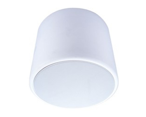 VANCO  PESV-6W                 Pendant Speaker Enclosure 6.5