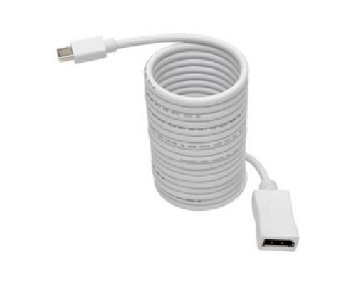 TRIPP LITE P139-010-DP-V2B         Keyspan Mini DisplayPort 1.2a to DisplayPort Cable Adapter and Video Converter, 4K x 2K/3840 x 2160 M/F @ 60 Hz, HDCP 2.2, 10 ft.