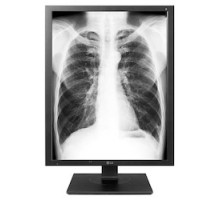 LG ELECTRONICS  21HK512D-B  13754484                 Diagnostic Monitor, 21.3