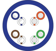 NORTHERN  N5ERPR1BX   24-4P UTP-RISER SOL BC CAT5E PURPLE 1000FT BOX