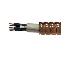 RSCC WIRE & CABLE  VM02010-100                 2 Conductor, 10 AWG, Type MC, VITALink 2 Hour Fire Rated Cable, 600 Volts