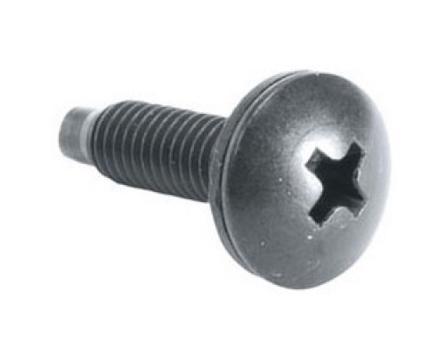 MIDDLE ATLANTIC PRODUCTS  HP                 Rackscrews, 10-32, Truss-Head, 100 pc.
