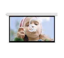 DA-LITE SCREEN COMPANY  34516FLS                 Advantage Electrol 113D 60X96NPA MW