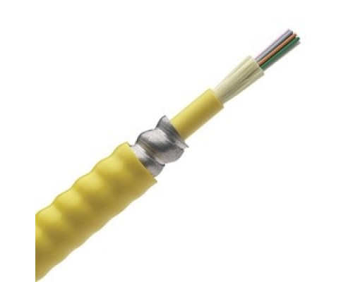 PANDUIT  FOPPZ06Y                 Fiber Ind Armd Cable OFCP OM4 6 Fibers