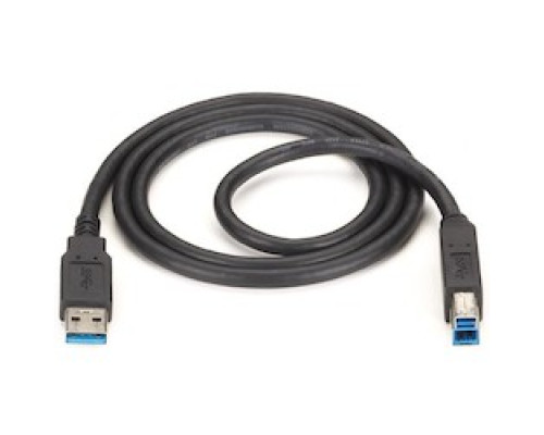 BLACK BOX NETWORK SERVICES USB30-0010-MM         USB 3.0 Cable - Type A Male to Type B Male, Black, 10-ft. 3.0-m