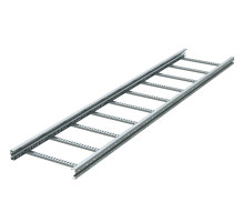 Ladder 50x200x3000 (LL5020)