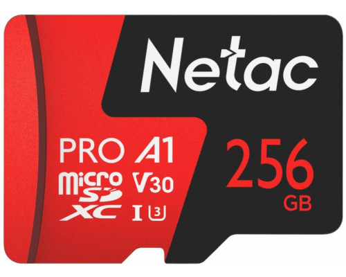 NT02P500PRO-256G-S