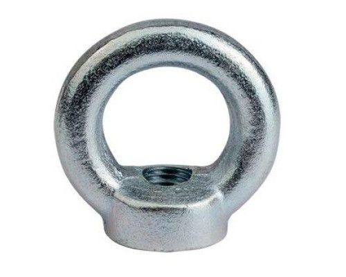 Eye nut M12, DIN 582, zinc plated (CM609012)